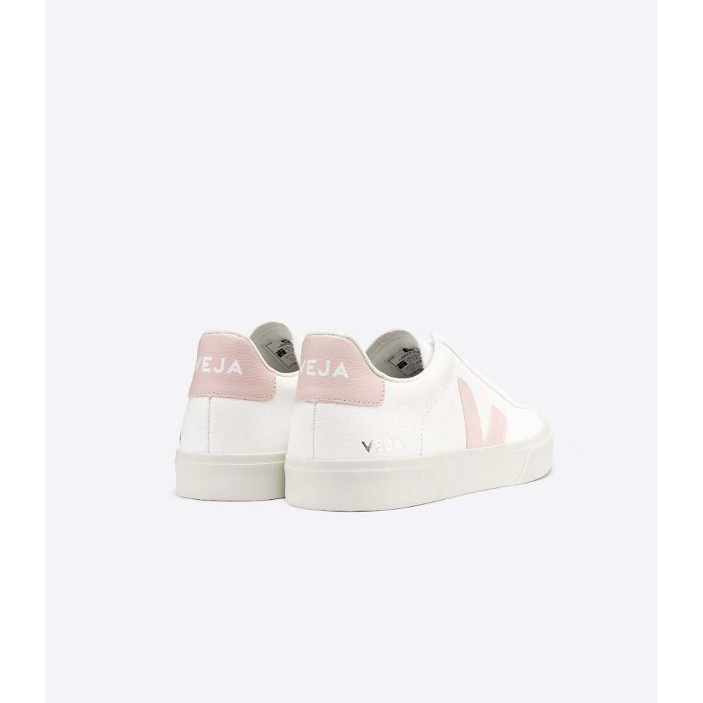 Women's Veja CAMPO CHROMEFREE Low Tops Sneakers White/Pink | SG 463KOR